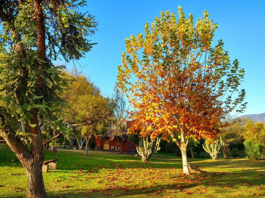 Cabañas Altos del Velazco La Rioja Exterior foto